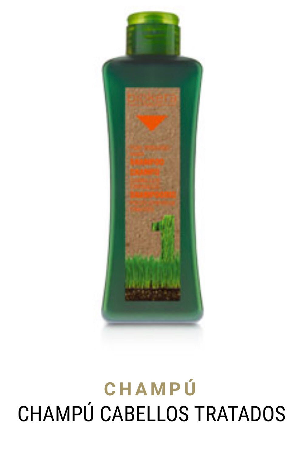 Champú Cabellos Tratados