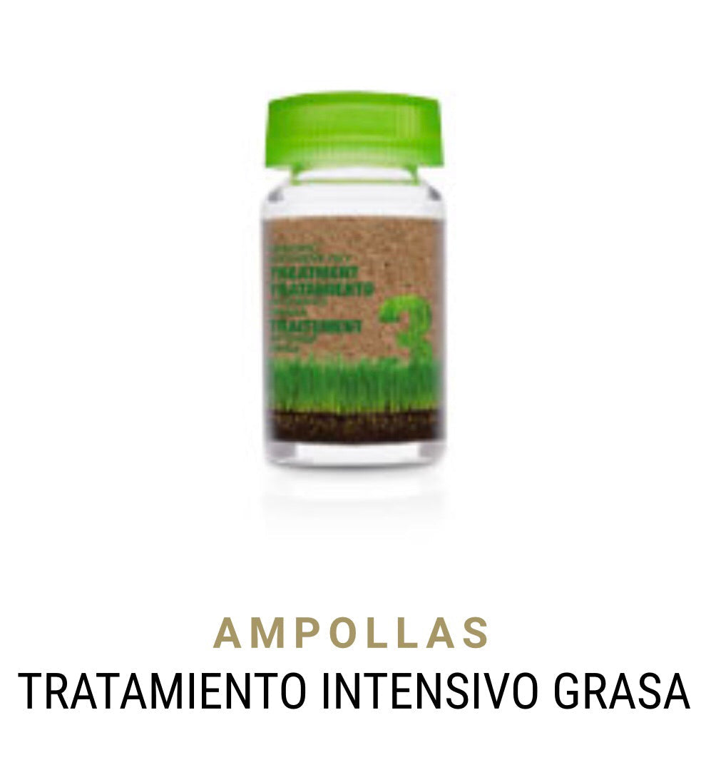 Ampolletas Tratamiento Intensivo Grasa caja 6 ampolletas de 10 ml